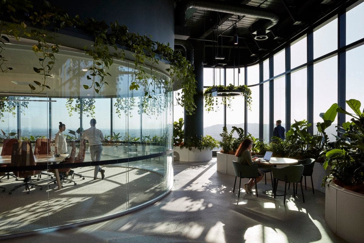 Modern office with natural light, glass walls, plants, and casual seating area for collaborative work.