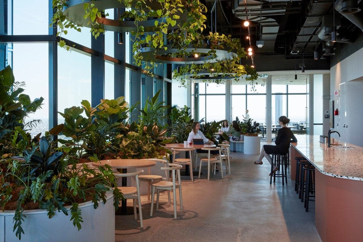 Modern office with natural light, potted plants, round tables, bar counter, and industrial design elements.