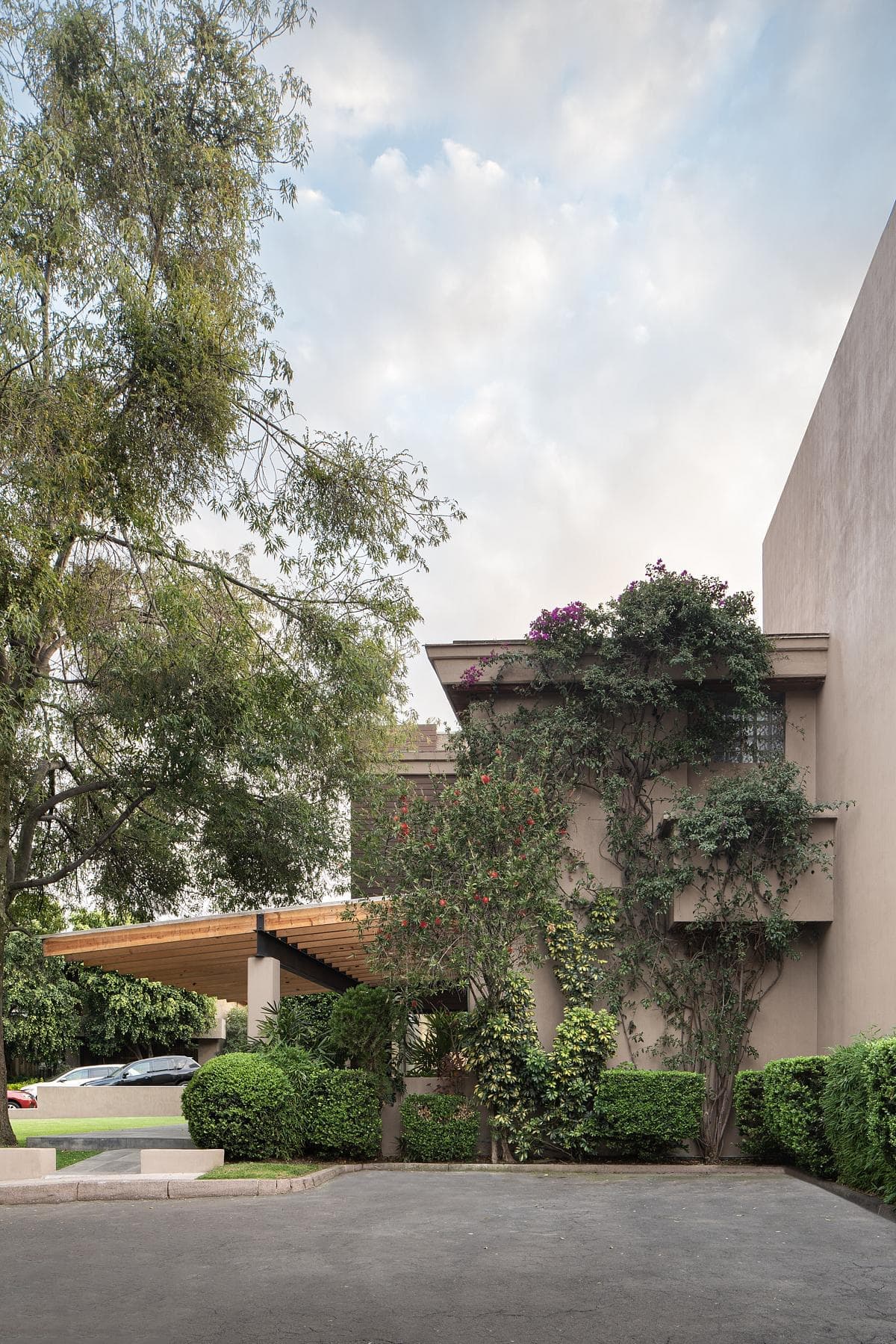Modern home blending architecture with nature, showcasing minimalist design and lush greenery.
