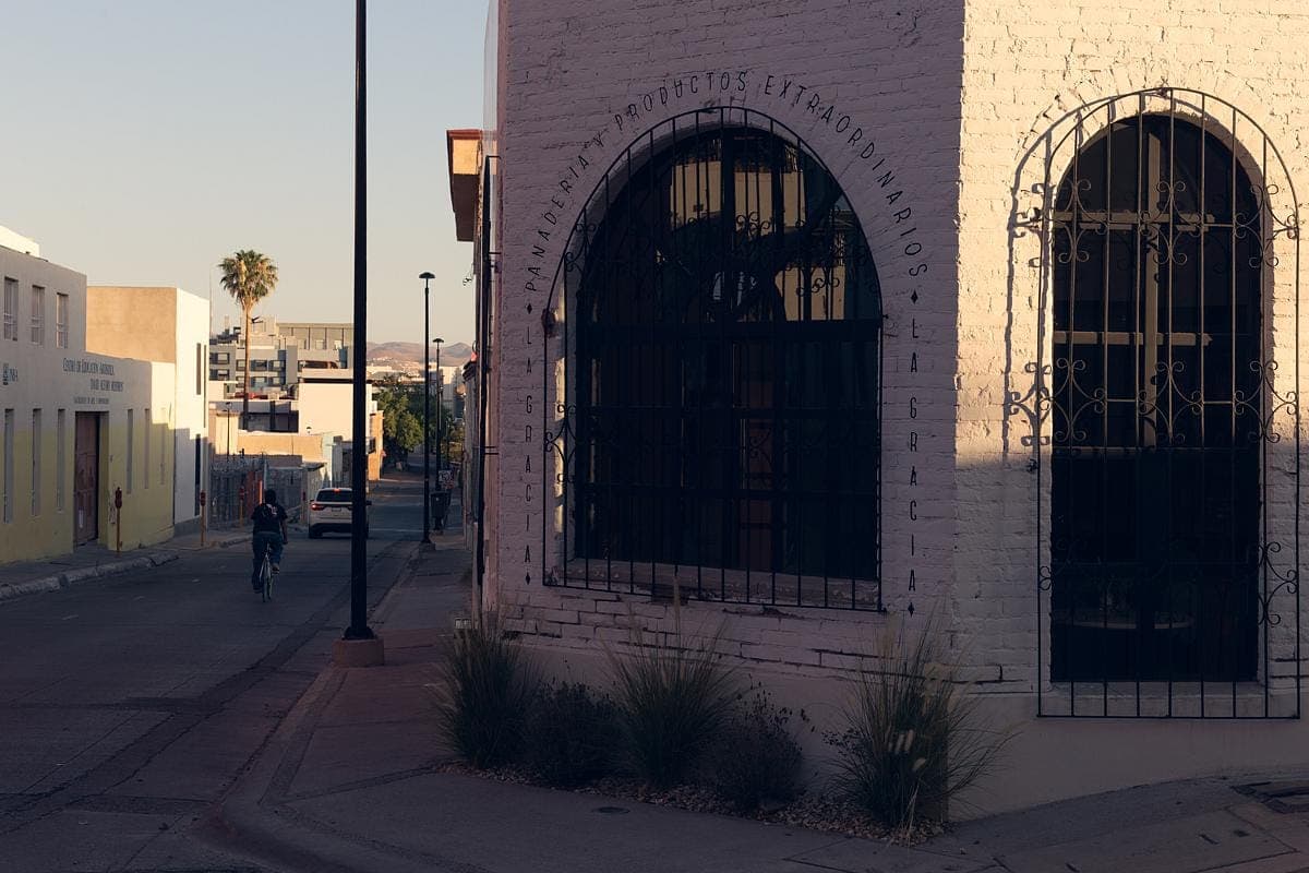 Charming urban street scene blending architecture and nature, featuring quaint buildings and greenery.