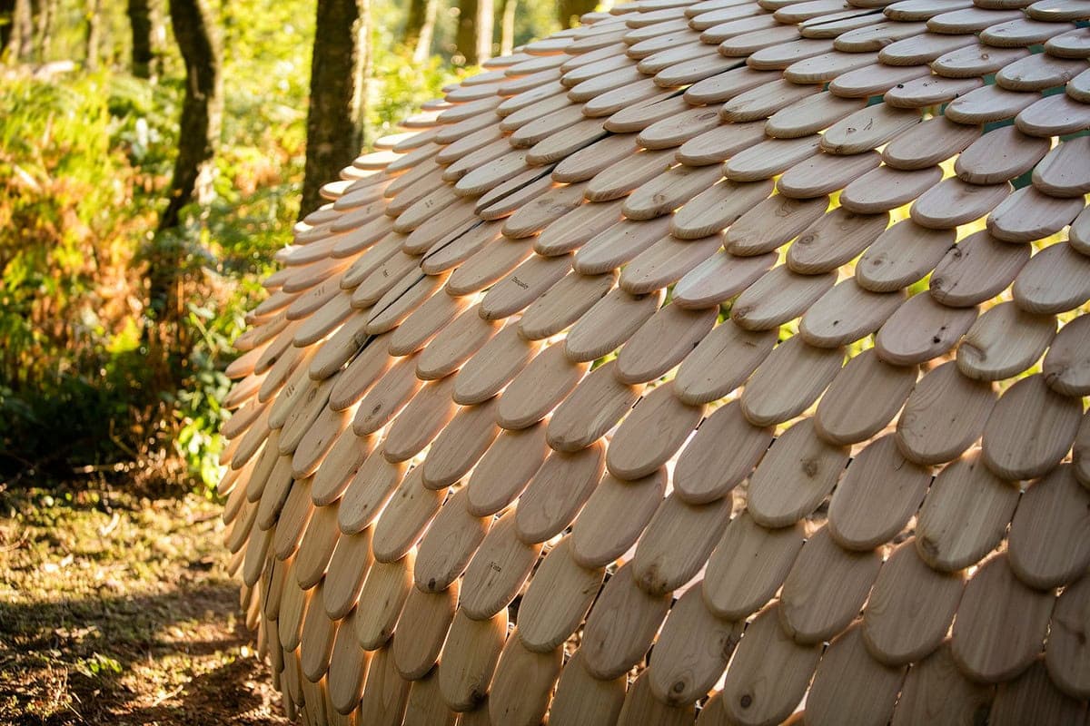 Dome-shaped wooden structure nestled in serene woodland, showcasing artisanal craftsmanship and natural beauty.