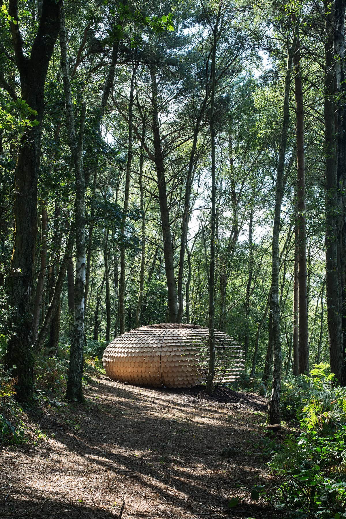 Modern wooden ovoid retreat harmoniously nestled in a serene forest landscape.