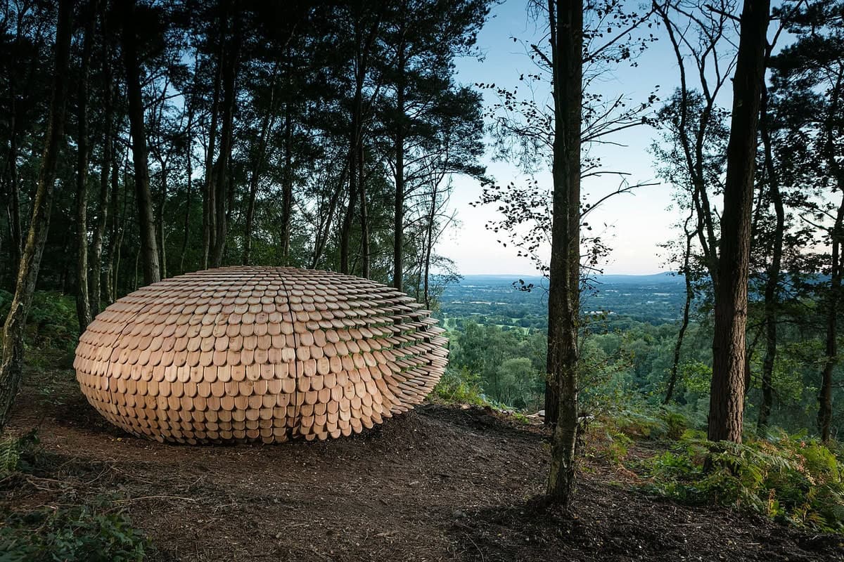 Organic wooden structure nestled in a tranquil forest, harmonising with nature and offering scenic views.