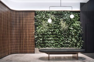 20 Hunter Street base building upgrade by Hammond Studio, photograph by Terence Chin