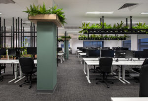 Aurecon Workplace Darwin office fit-out by Hames Sharley, photograph by Shaana McNaught