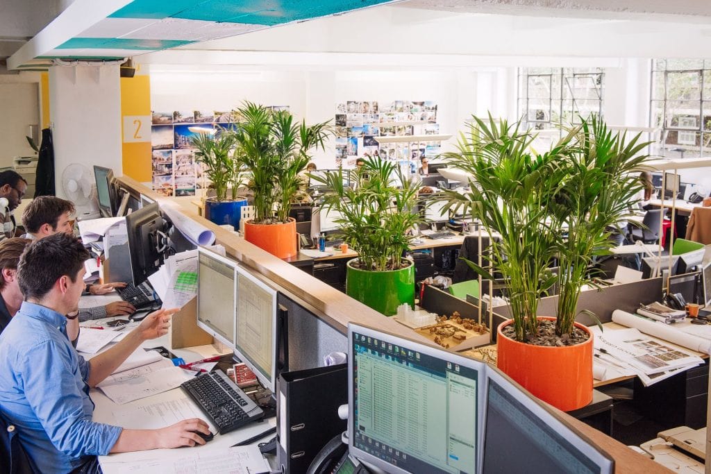 Modern open-plan office with natural light, collaborative desks, and vibrant greenery for a productive workspace.