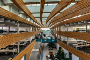 Spacious, modern open-plan office with wooden accents and natural light.