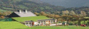 Modern eco-friendly building with green roof in lush landscape.