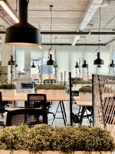 Modern office with natural light, exposed ceiling, green plants, and minimalist furniture.