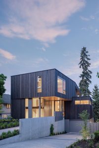 Contemporary twilight house featuring sleek design, dark wooden cladding, and large windows.