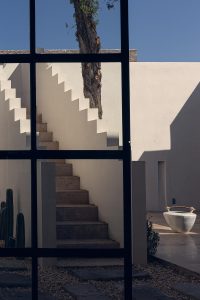 Serene modern staircase with elegant planter and natural elements, blending architecture and nature.