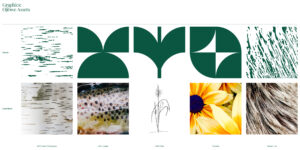 Abstract nature-inspired graphics paired with corresponding natural photographs in a structured layout.